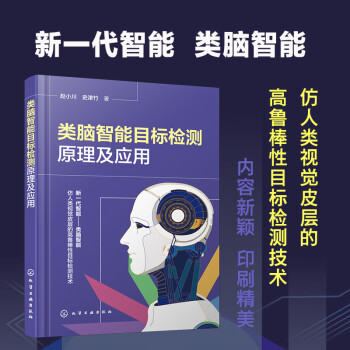 类脑智能目标检测原理及应用 下载