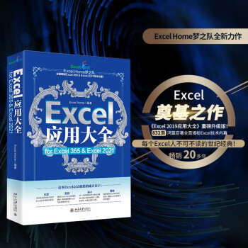 Excel应用大全 for Excel 365 & Excel 2021 Excel Home出品 函数图表VBA/Power Query/数据分析/数据可视化宝典 下载