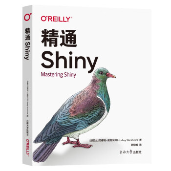 精通Shiny（Mastering Shiny） 下载