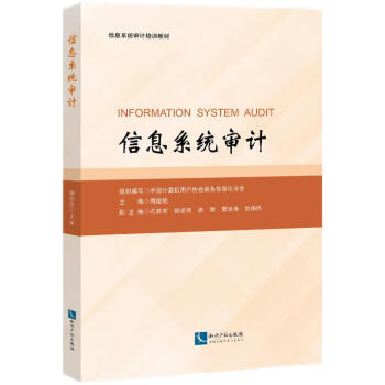 信息系统审计 下载