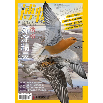 博物 2023年10月号 本期主题：鸻鹬专题 中国国家地理青春少年版 博物君式科普百科期刊 下载
