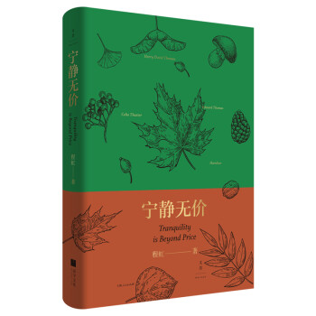 宁静无价 下载