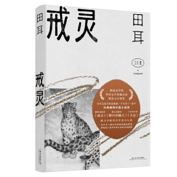 戒灵（《一个人张灯结彩》作者田耳小说出发的地方。“凤凰之子”的湘西记忆） 下载
