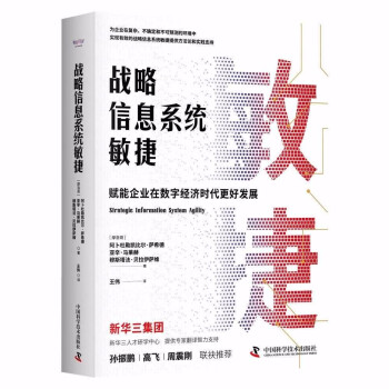 战略信息系统敏捷：赋能企业在数字经济时代更好发展 下载