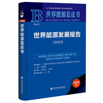 世界能源蓝皮书：世界能源发展报告（2023） 下载