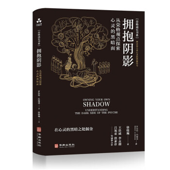 拥抱阴影：从荣格观点探索心灵的黑暗面 下载