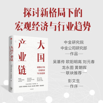 大国产业链 新格局下的宏观经济与行业趋势 中金研究院著 中信出版社 下载