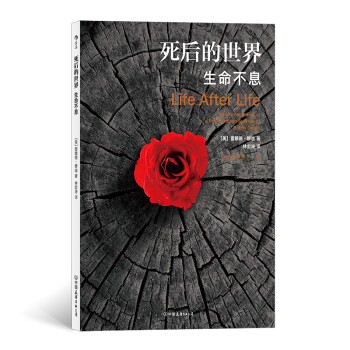 死后的世界：生命不息 下载