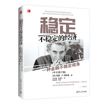 稳定不稳定的经济——一种金融不稳定视角(中文修订版) 下载