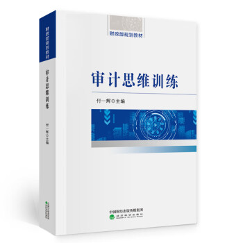 审计思维训练 下载