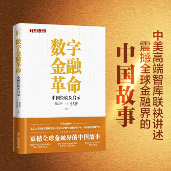 数字金融革命：中国经验及启示 全方位了解中国的数字金融发展 下载