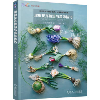 球根花卉栽培与装饰技巧 下载