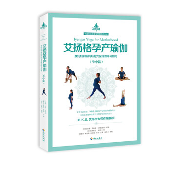 艾扬格孕产瑜伽（孕中篇）准妈妈和新妈妈的安全瑜伽练习指南 下载