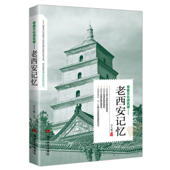 带着文化游名城：老西安记忆 下载