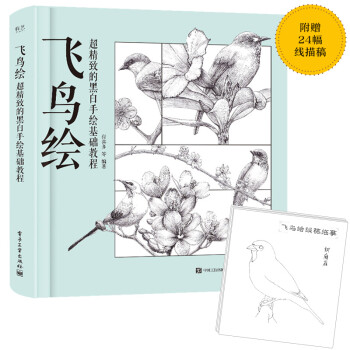 飞鸟绘 超精致的黑白手绘基础教程 下载