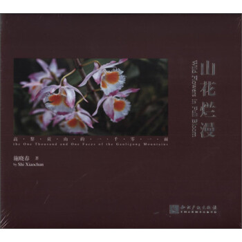 山花烂漫 下载