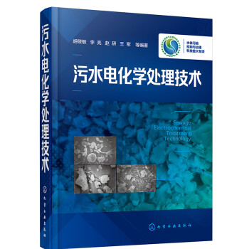 污水电化学处理技术 下载