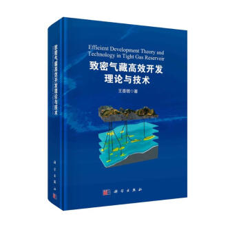 致密气藏高效开发理论与技术 下载