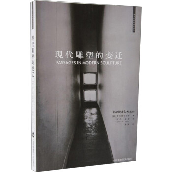 现代雕塑的变迁 [Passages in Modern Sculpture] 下载