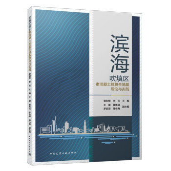 滨海吹填区素混凝土桩复合地基理论与实践 下载