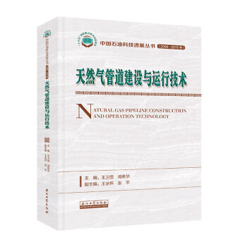 天然气管道建设与运行技术 下载