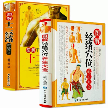 全2册图解经络穴位养生大全+十二经络对症养生 下载
