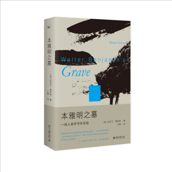本雅明之墓：一场人类学写作实验 迈克尔·陶西格带您聆听微妙之处，奇事不再遥远 下载