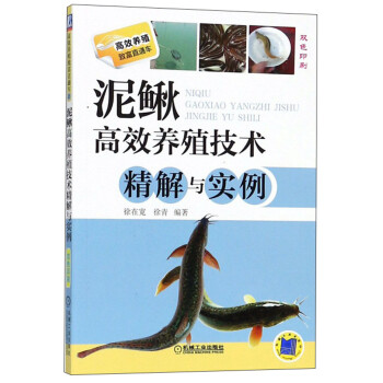 泥鳅高效养殖技术精解与实例（双色印刷）/高效养殖致富直通车 下载