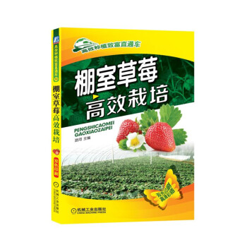 棚室草莓高效栽培 下载