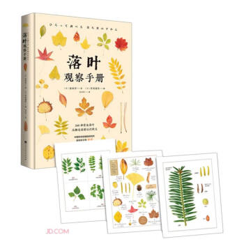 落叶观察手册(精) 下载