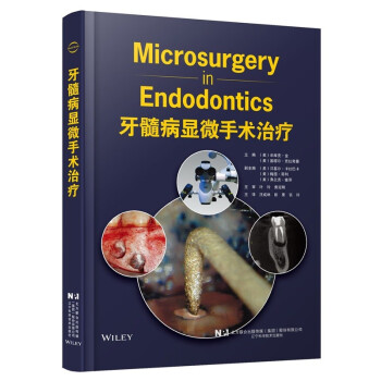 牙髓病显微手术治疗 下载
