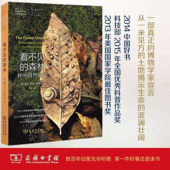 看不见的森林（自然文库） 下载