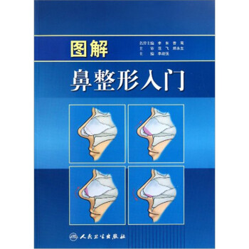 图解鼻整形入门 下载