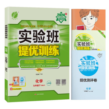 实验班提优训练 初中化学九年级下册 人教版RMJY 课时同步强化练习拔高特训 2024年春 下载