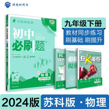 2024春初中必刷题 物理九年级下册 苏科版 初三教材同步练习题教辅书 理想树图书 下载