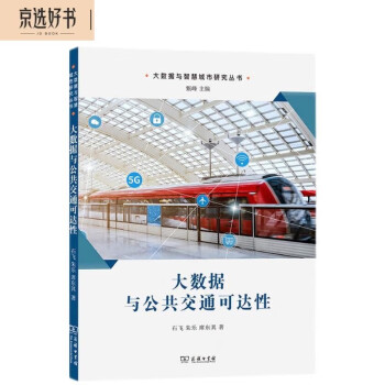 大数据与公共交通可达性/大数据与智慧城市研究丛书 下载
