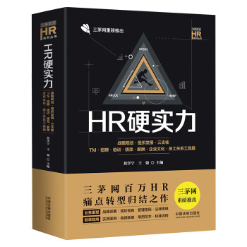 HR硬实力：战略规划·组织发展·三支柱·TM·招聘·培训·绩效·薪酬·企业文化·员工关系工具箱 下载