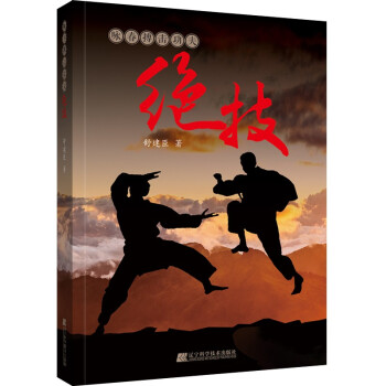 咏春搏击功夫绝技 下载