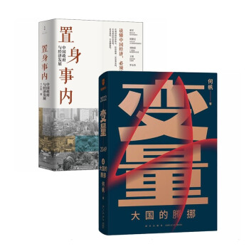 变量4+置身事内（全2册） 下载