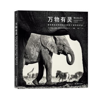 万物有灵：国际野生生物摄影年赛第51届获奖作品 下载