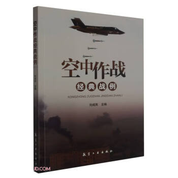 空中作战经典战例 下载