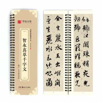 华夏万卷字帖 近距离临摹字卡 智永真草千字文字帖成人初学者草书钢笔硬笔毛笔临摹书法字帖 下载