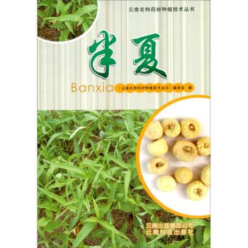半夏 下载