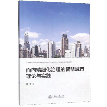 面向精细化治理的智慧城市理论与实践 下载