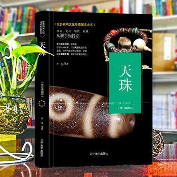 天珠收藏与鉴赏 天珠石头文玩鉴定 九眼天珠古玩收藏书 世界高端文化珍藏图鉴大系 下载