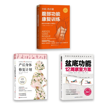 产后身体修复计划+盆底功能12周康复方案+腹部功能康复训练（套装全3册） 下载