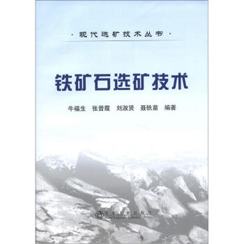 现代选矿技术丛书：铁矿石选矿技术 下载