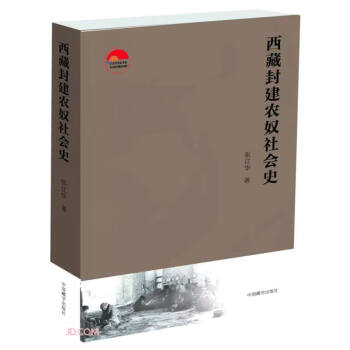 西藏封建农奴社会史 下载