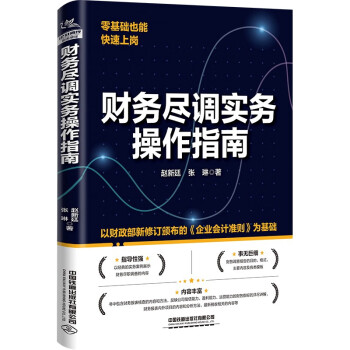 财务尽调实务操作指南 下载
