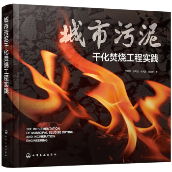 城市污泥干化焚烧工程实践 下载